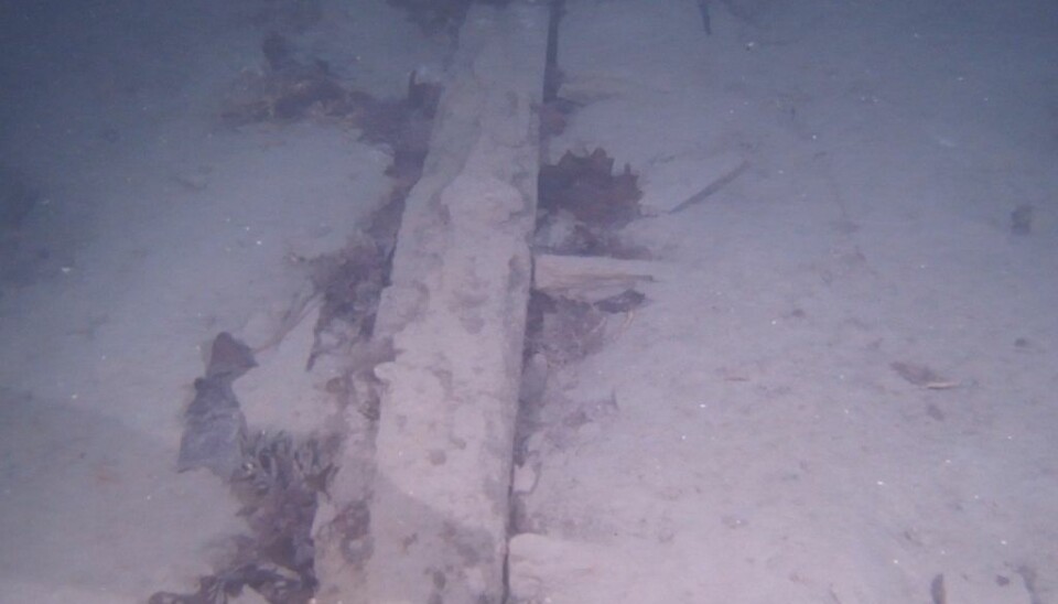 Part of a wreck found in the fjord outside Trondheim in December. The picture is from a video in HD revealing its keel and ribs. No artefacts have been found near this wreck yet to indicate its age, but researchers think it’s from 17th or 18th century. The shipwreck is at a depth of 80 metres and is typical of the way wooden wrecks appear after centuries on the sea floor. (Photo: Trondheim Science Museum)