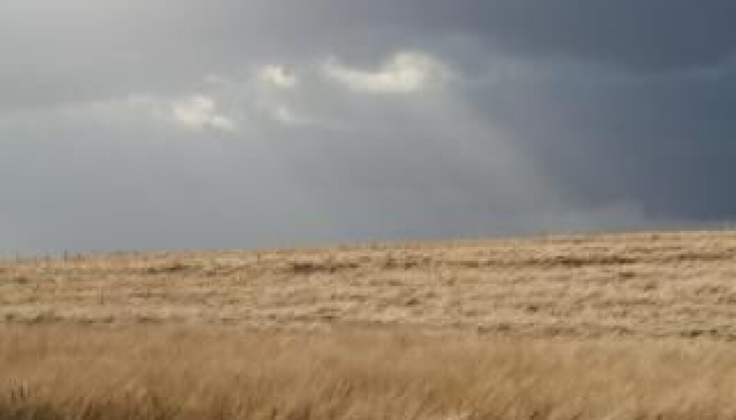 The growth season has increased in the North. (Photo: Colourbox) The growth season has increased in the North. (Photo: Colourbox)