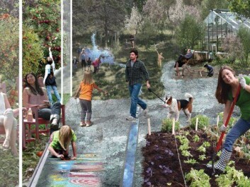 Ecology, community and sharing common resources are key elements of the Brøset district. Plans include allotments like this. (Illustration: SLA) Ecology, community and sharing common resources are key elements of the Brøset district. Plans include allotments like this. (Illustration: SLA)