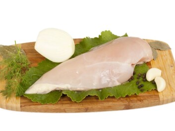 A very bad idea… raw meat and salad on the same cutting board. (Photo: Colourbox.com) A very bad idea… raw meat and salad on the same cutting board. (Photo: Colourbox.com)