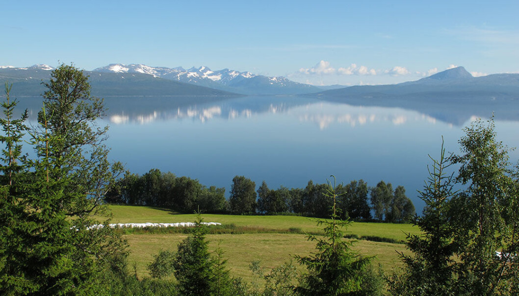 Farmed land opens up the landscape and creates variation in the Norwegian wilderness. Røssvatn in Hattfjelldal, Nordland. (Photo: Anders Bryn) Farmed land opens up the landscape and creates variation in the Norwegian wilderness. Røssvatn in Hattfjelldal, Nordland. (Photo: Anders Bryn)