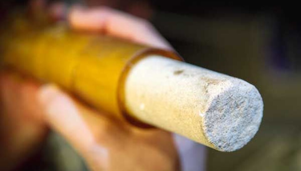 (Photo: Ole Morten Melgård/NTNU Info)