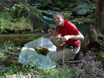 Hallvard Elven. (Photo: Vladimir Gusarov, NHM/UiO) Hallvard Elven. (Photo: Vladimir Gusarov, NHM/UiO)