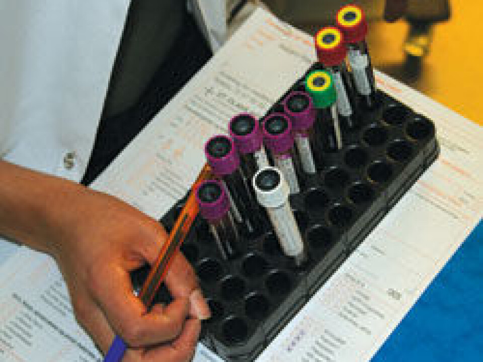 The Generasjon 100 study involves testing blood levels of haemoglobin, glucose, long-term blood sugar, three different types of cholesterol, triglycerides and high-sensitivity C-reactive protein. Researchers hope that participant blood levels, which will be retested over the course of the three-year-long project, will show the benefits of exercise. (Photo: Nancy Bazilchuk)