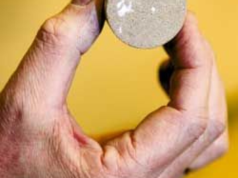 One of the planet’s fever-reducing pills: porous sandstone found in abundance on the sea floor. (Photo: Ole Morten Melgård/NTNU Info)
