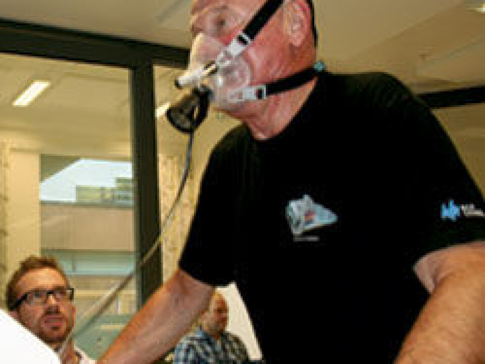 Sverre Kirtsæther runs on a treadmill so that Øyvind Eian, a master's student in exercise physiology, can measure his maximal oxygen uptake, or VO2max. (Photo: Nancy Bazilchuk)