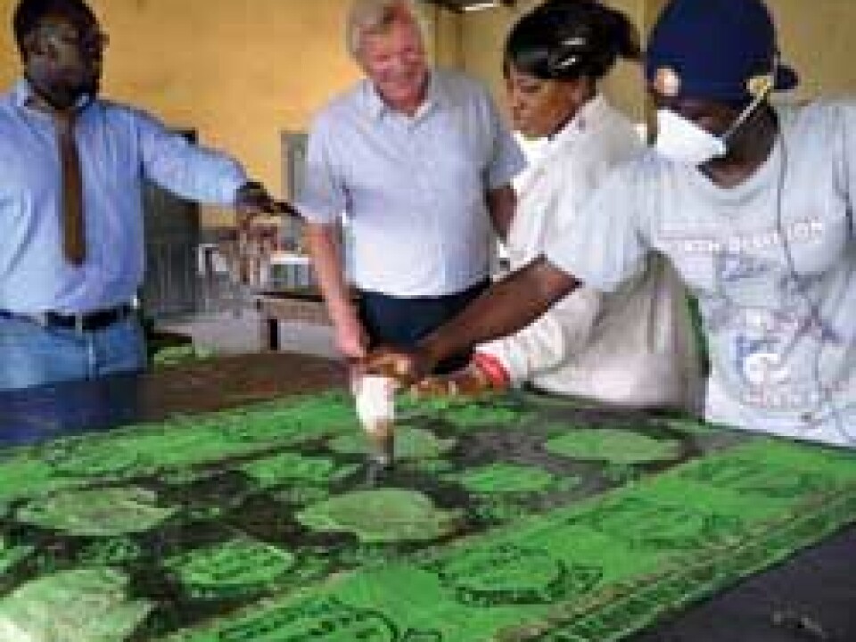 Technology businesses are also participating in the aid project. Project Manager Håkon Hynne (second from the left) pays close attention while a trainee textile worker receives instruction in the industrial city of Tema in Ghana. (Photo: Svein Tønseth)