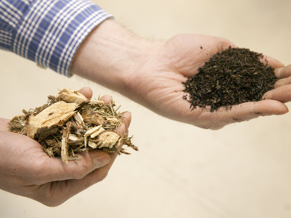 Torrefaction concentrates the energy content of biofuels. Left: chopped-up branches and tops. Right: this type of raw material has been subjected to torrefaction before being ground into a fine-grained mass, which is then pressed into pellets. This contains about 70 per cent of the original mass, while keeping 90 per cent of its energy. (Photo: SINTEF / Gry Karin Stimo)