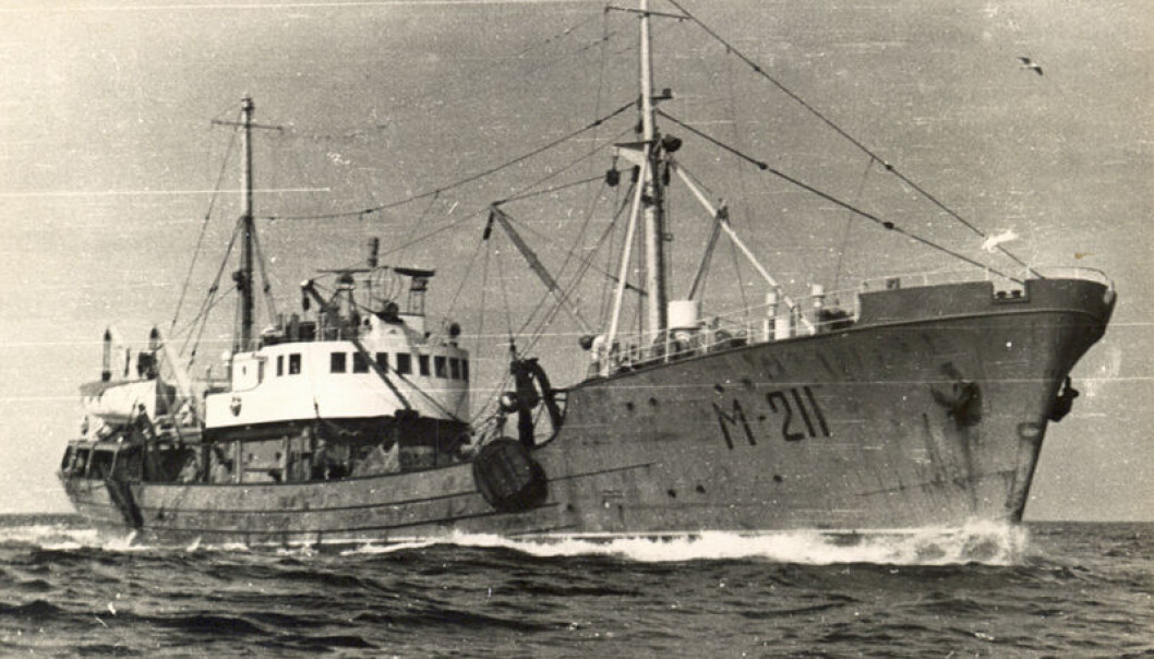 Data collected during Soviet-era research voyages off the Norwegian coast have recently been digitalised and now yields precious new knowledge about the Barents Sea ecosystem. The research vessel Tuna was used in annual measurements of cod eggs and zooplankton. (Photo: PINRO) Data collected during Soviet-era research voyages off the Norwegian coast have recently been digitalised and now yields precious new knowledge about the Barents Sea ecosystem. The research vessel Tuna was used in annual measurements of cod eggs and zooplankton. (Photo: PINRO)