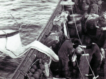 Soviet scientists used ring trawl nets to collect cod eggs and zooplankton. (Photo: PINRO) Soviet scientists used ring trawl nets to collect cod eggs and zooplankton. (Photo: PINRO)