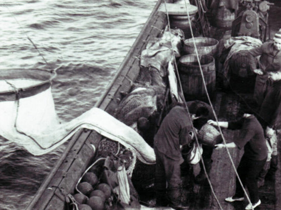 Soviet scientists used ring trawl nets to collect cod eggs and zooplankton. (Photo: PINRO)