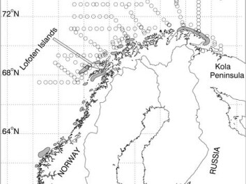 This map shows the results of Soviet spring and summer voyages that mapped quantities of cod eggs and zooplankton. The circles indicate sites where samples were taken annually. The voyages resulted in years of data from the same area, offering researchers a yearly snapshot of what has happened in a location over time. The map shows the sites visited in 1984. Grey coastal areas represent spawning waters. (Map: Langangen et. al.: “Egg mortality...” in ICES Journal of Marine Science 2013)
This map shows the results of Soviet spring and summer voyages that mapped quantities of cod eggs and zooplankton. The circles indicate sites where samples were taken annually. The voyages resulted in years of data from the same area, offering researchers a yearly snapshot of what has happened in a location over time. The map shows the sites visited in 1984. Grey coastal areas represent spawning waters. (Map: Langangen et. al.: “Egg mortality...” in ICES Journal of Marine Science 2013)