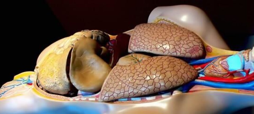 Artificial liver can support the chronically ill