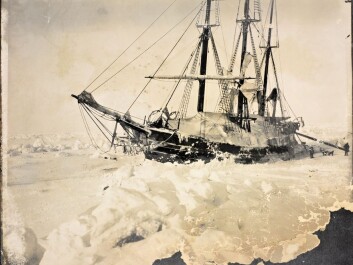 The Fram, frozen into the ice, March 1895. (Photo: Fridtjof Nansen/from the Norwegian National Library, bldsa_q3c013) The Fram, frozen into the ice, March 1895. (Photo: Fridtjof Nansen/from the Norwegian National Library, bldsa_q3c013)