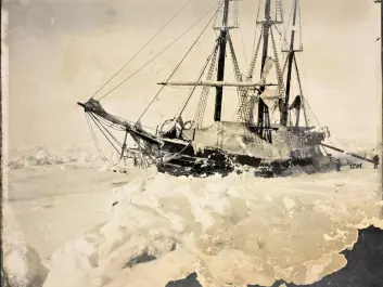 The Fram, frozen into the ice, March 1895. (Photo: Fridtjof Nansen/from the Norwegian National Library, bldsa_q3c013)