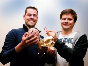 Kristian Valen-Sendstad (left) and Kent-Andre Mardal have developed a simulation model that measures how turbulence in the blood stream creates brain aneurisms. The model can be used to decide whether an aneurism should be surgically removed or not. Most aneurisms appear close to the blood vessel circuit in the brain, which is illustrated by the red ring Mardal is holding. (Photo: Yngve Vogt)