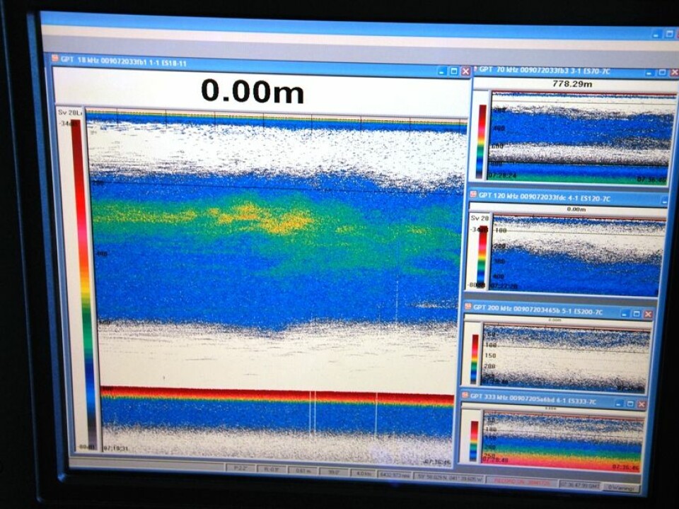 The echo sounder’s signals detect sea life beneath the ship. Green indicates a higher density than blue and yellow reveals a higher density than green. (Photo: Hanne Østli Jakobsen)