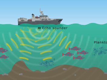 (Graphics: Hanne Jakobsen/Arnfinn Christensen, forskning.no) (Graphics: Hanne Jakobsen/Arnfinn Christensen, forskning.no)