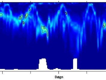 The vertical axis shows depth in metres, with 24-hour increments on the horizontal. Krill sink down during the day and rise to the surface at night. The bioacoustical imaging of this migration forms waves. The white section at the bottom, at depths of 800-900 metres, is the seabed. (Photo: Peter Wiebe) The vertical axis shows depth in metres, with 24-hour increments on the horizontal. Krill sink down during the day and rise to the surface at night. The bioacoustical imaging of this migration forms waves. The white section at the bottom, at depths of 800-900 metres, is the seabed. (Photo: Peter Wiebe)