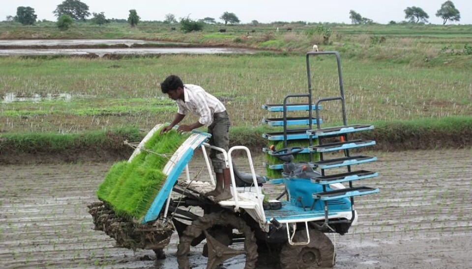 A mechanical transplanter in operation in Andhra Pradesh. (Photo: Ragnar Våga Pedersen, Bioforsk)