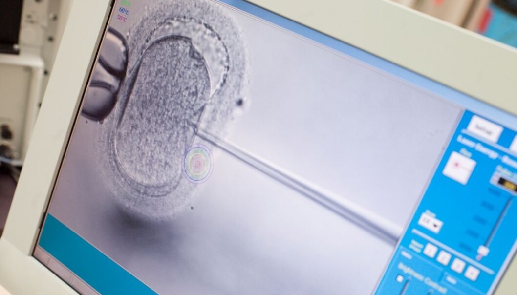 Five million children have joined the ranks of the living since the end of the 1970s thanks to assisted conception techniques. Some of the methods are more risky than others, according to a new Swedish study. (Photo: Colourbox) Five million children have joined the ranks of the living since the end of the 1970s thanks to assisted conception techniques. Some of the methods are more risky than others, according to a new Swedish study. (Photo: Colourbox)