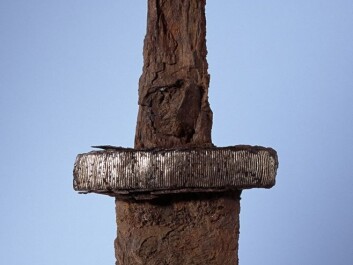 This sword hilt, in the style of an "H", is one of many finds from Steinkjer that archaeologists say suggest the presence of a large trading town dating from the Viking age. (Photo: Per Fredriksen) This sword hilt, in the style of an "H", is one of many finds from Steinkjer that archaeologists say suggest the presence of a large trading town dating from the Viking age. (Photo: Per Fredriksen)