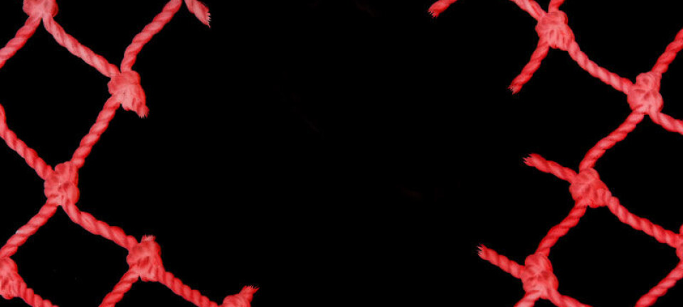 Hole in the mesh