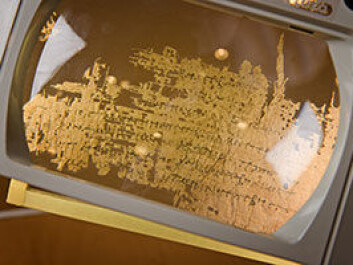 UiO’s papyrus research group was previously regarded as one of the world’s best. It is now in the process of returning to its role as a prominent centre of papyrology. (Photo: John Hughes) UiO’s papyrus research group was previously regarded as one of the world’s best. It is now in the process of returning to its role as a prominent centre of papyrology. (Photo: John Hughes)