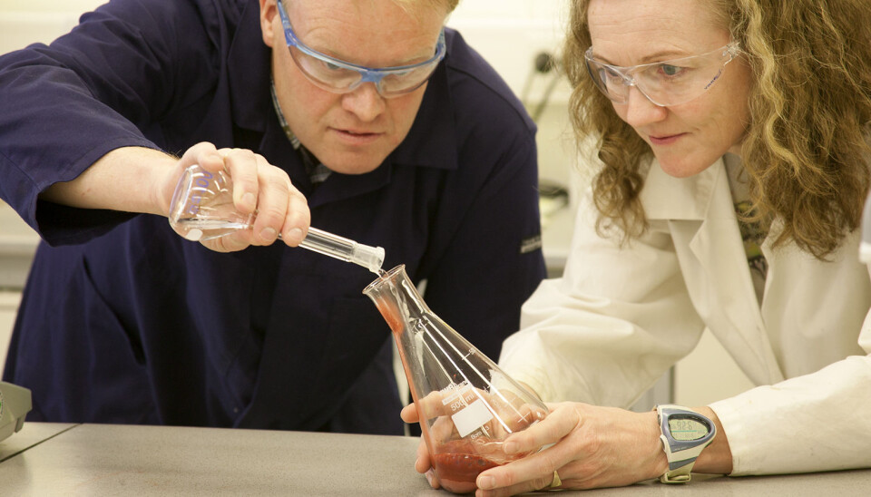 Research scientists Tommy Mokkelbost and Fride Vullum-Bruer in the laboratory with powder-based materials that will be ingredients in rechargeable batteries. (Photo: SINTEF / Gry Karin Stimo)