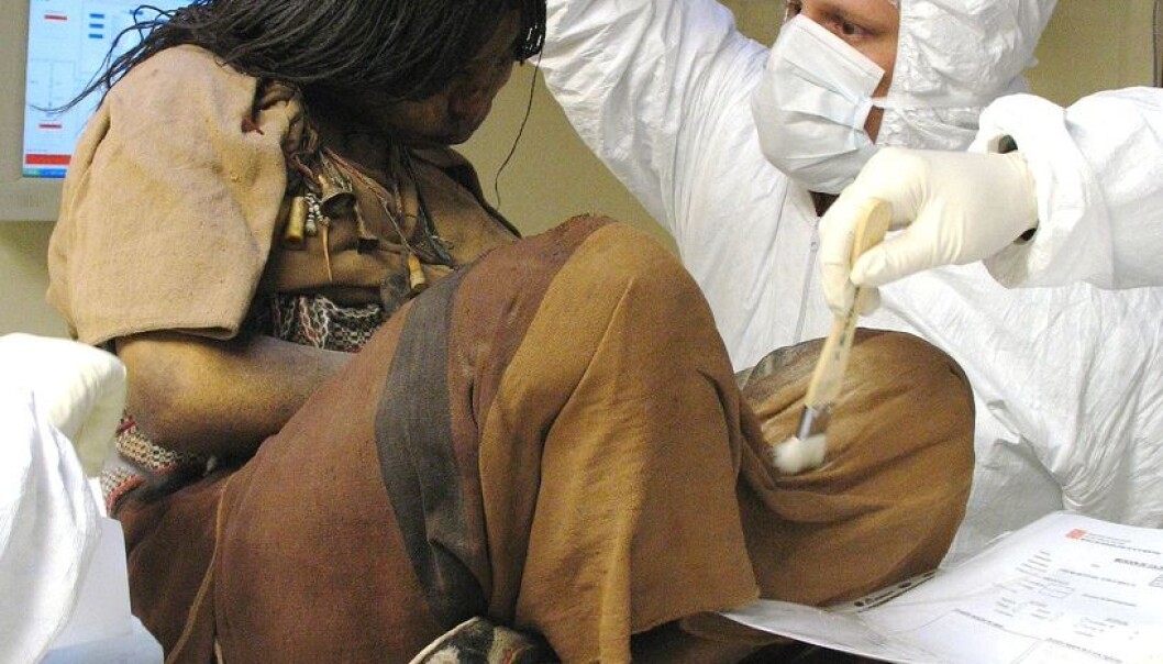The oldest mummified girl, known as La Donchella – the Maiden. She and two other child mummies have been under intense examination since 1999. (Photo: José Fontanelli) The oldest mummified girl, known as La Donchella – the Maiden. She and two other child mummies have been under intense examination since 1999. (Photo: José Fontanelli)