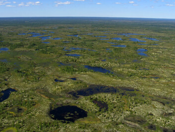 Vast stretches of the Arctic, like here in Siberia, consist of tundra. (Photo: iStockphoto) Vast stretches of the Arctic, like here in Siberia, consist of tundra. (Photo: iStockphoto)