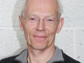 Professor Vidje Hansen. (Photo: Private) Professor Vidje Hansen. (Photo: Private)