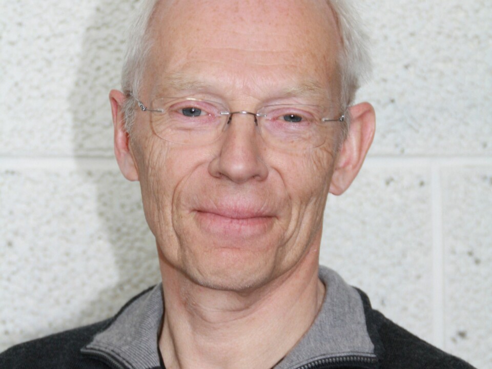Professor Vidje Hansen. (Photo: Private)