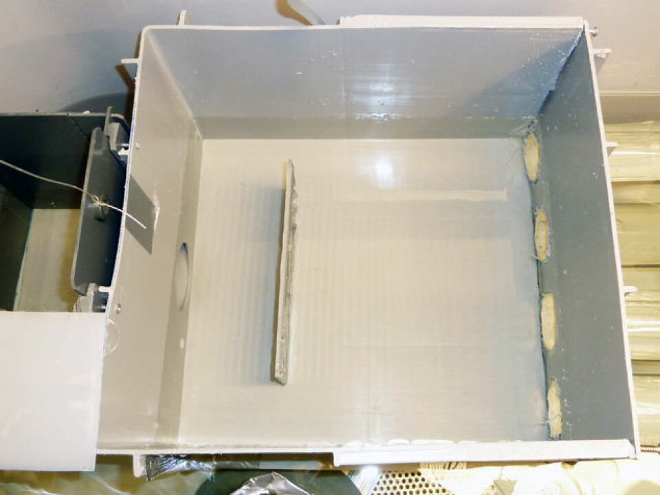 The cognitive abilities of juvenile salmon were tested by lowering a labyrinthine obstacle into their tub. The fish started in the box to the left and had to pass through the main compartment and then through one of the four exits at the rear. Only one of these was open and the fish had to determine which one was correct.  (Photo: Anne Gro Vea Salvanes)