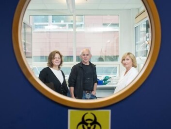 The microorganisms in the ocean have only hours in which to multiply before being eaten or infected by virus. The MicroPolar team (left to right) Aud Larsen, Gunnar Bratbak and Ruth-Anne Sandaa examine how the interaction between the organisms happens. (Photo: Eivind Senneset) The microorganisms in the ocean have only hours in which to multiply before being eaten or infected by virus. The MicroPolar team (left to right) Aud Larsen, Gunnar Bratbak and Ruth-Anne Sandaa examine how the interaction between the organisms happens. (Photo: Eivind Senneset)