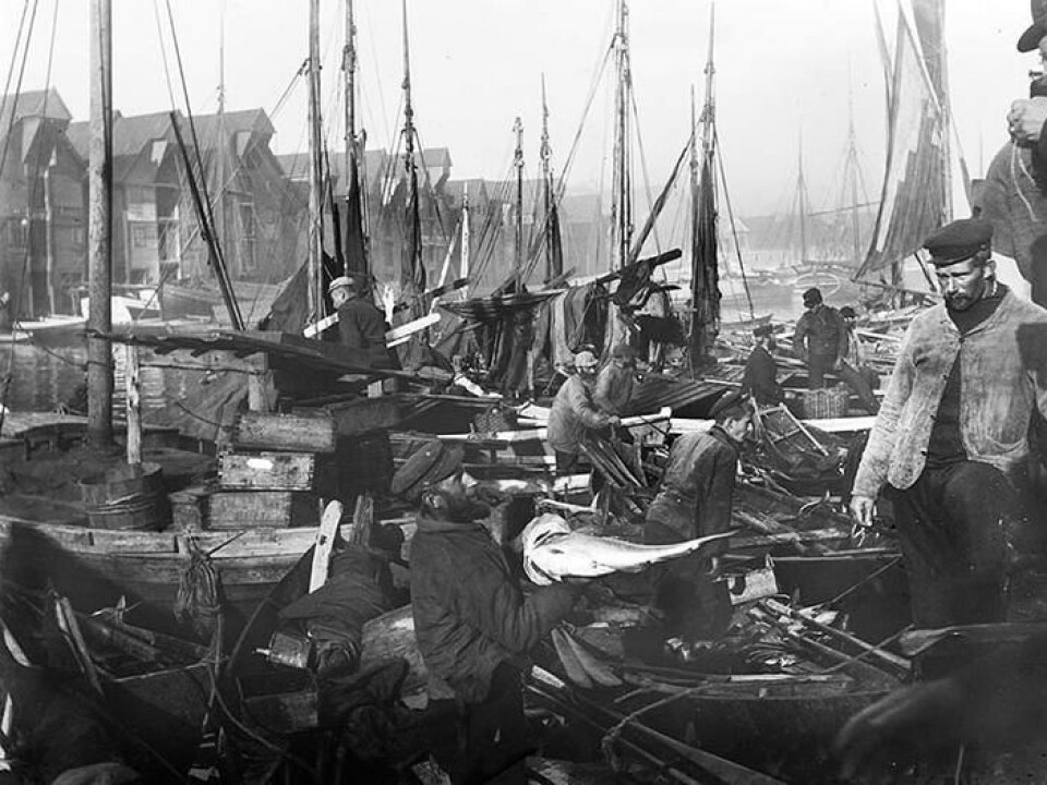 A typical scene from the fish market in Bergen sometime between 1880–1900. (Photo: University of Bergen Library)