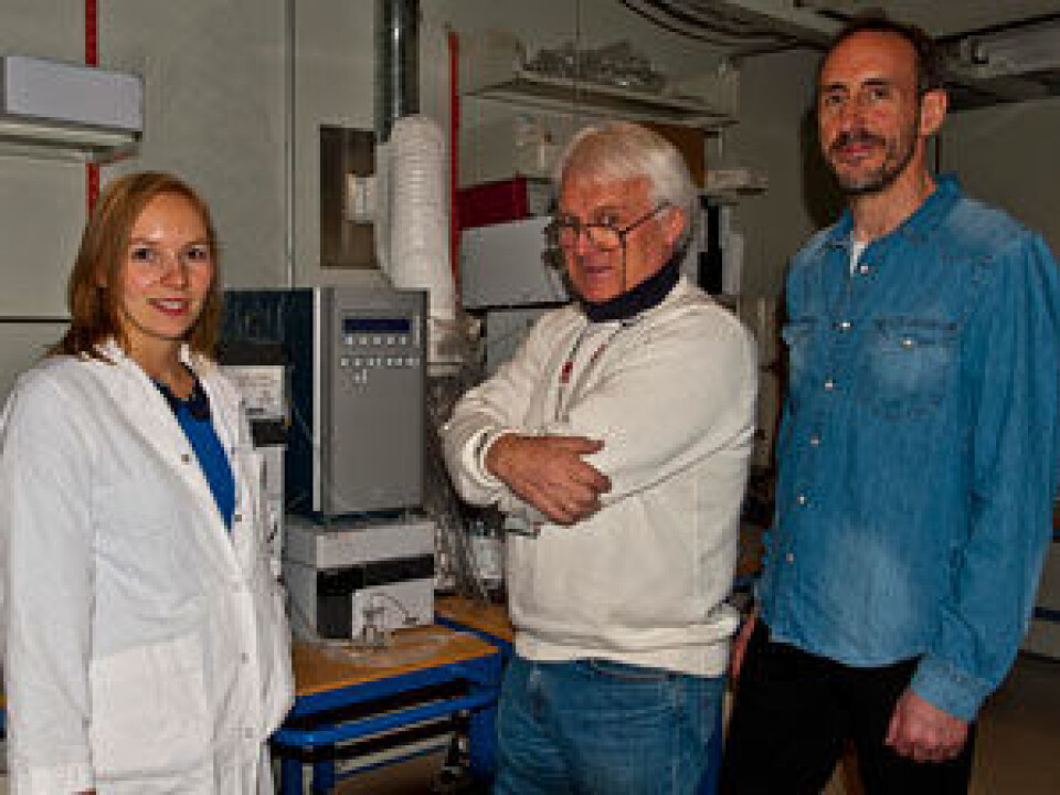 Kine S. Dervola, Ivar Walaas and Espen B. Johansen has done research on the effects of omega-3 supplementation in rats with ADHD (Foto:
Carina Knudsen, UiO)