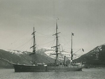 Antarctic, photographed near Tromsø, Norway in 1898. (Photo: Otto Kjellström/Wikimedia Creative Commons) Antarctic, photographed near Tromsø, Norway in 1898. (Photo: Otto Kjellström/Wikimedia Creative Commons)