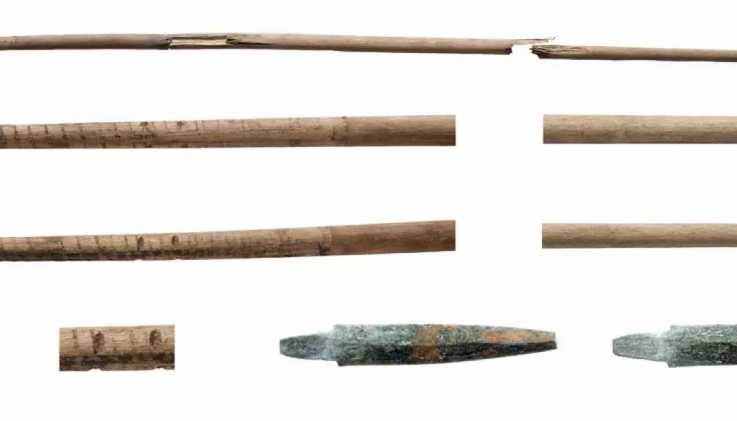 Radiocarbon dating of the sallow wood shaft of this arrow shows it to be 5,400 years old, dating it to the younger Stone Age. The arrow was found in the Norwegian mountains, at Dovrefjell, by Tord Bretten and Line B. Aukrust. (Photo: Åge Hojem and Martin Callahan/NTNU Museum of Science)