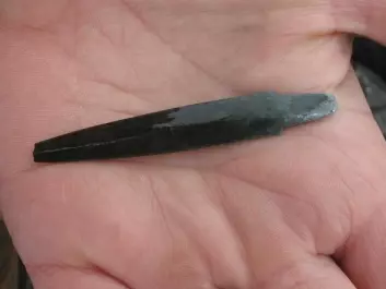 A slate arrowhead separated from its shaft. (Photo: Tord Bretten, the Norwegian Nature Inspectorate, Oppdal)