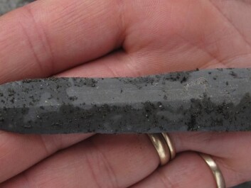 This arrowhead of slate had been attached to a shaft that was carbon dated as 5,200 years old. (Photo: Tord Bretten, the Norwegian Nature Inspectorate, Oppdal) This arrowhead of slate had been attached to a shaft that was carbon dated as 5,200 years old. (Photo: Tord Bretten, the Norwegian Nature Inspectorate, Oppdal)