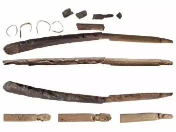 Fragments of bows from the early Stone Age that have melted out of glacial ice. (Photo: Åge Hojem and Martin Callahan/NTNU Museum of Science)