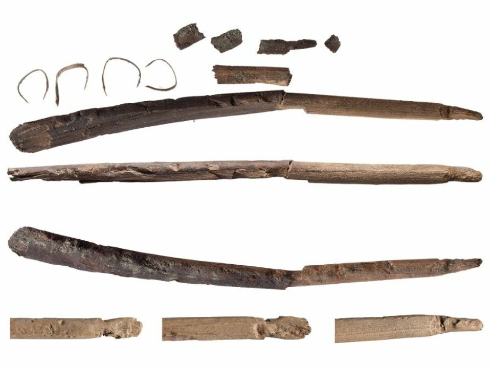 Fragments of bows from the early Stone Age that have melted out of glacial ice. (Photo: Åge Hojem and Martin Callahan/NTNU Museum of Science)