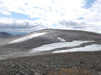 The snowdrift glacier at Dovrefjell, where Palaeolithic arrows have been found. (Photo: Martin Callanan, NTNU) The snowdrift glacier at Dovrefjell, where Palaeolithic arrows have been found. (Photo: Martin Callanan, NTNU)