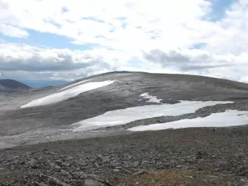 The snowdrift glacier at Dovrefjell, where Palaeolithic arrows have been found. (Photo: Martin Callanan, NTNU) 