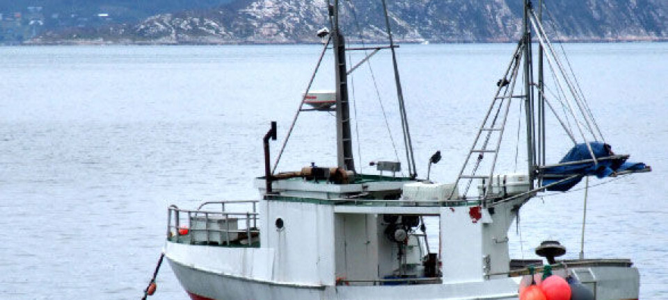 Ocean acidification puts Norway in a pickle