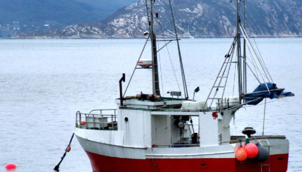Ocean acidification has a particularly strong impact on miniscule zooplankton, down at the bottom of the food chain, as well as for fish and fisheries. (Photo: iStockphoto) Ocean acidification has a particularly strong impact on miniscule zooplankton, down at the bottom of the food chain, as well as for fish and fisheries. (Photo: iStockphoto)