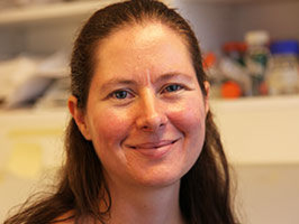 Research scientist Gunnveig Grødeland has helped develop a DNA vaccine against influenza. The vaccine can be produced in only a couple of weeks. (Photo: Marianne Baksjøberg, UiO)