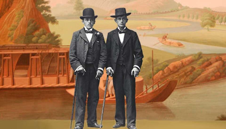 (Illustration: Annica Thomsson)