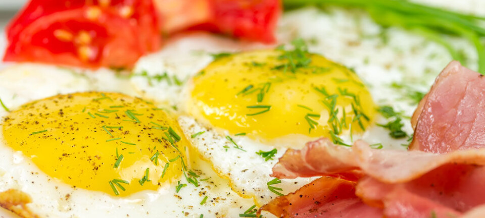 Low-carb diets hold sway short-term